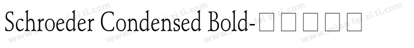 Schroeder Condensed Bold字体转换